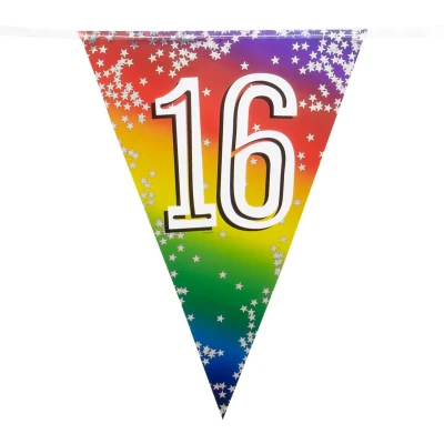 Afbeelding van Vlaggenlijn 16 jaar versiering vlaggetjes slinger 6 meter Vlaggenlijnen