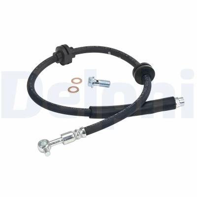 Afbeelding van Remleiding DELPHI LH8019
