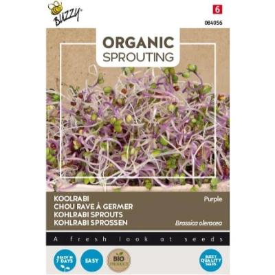 Afbeelding van Sprouting Koolrabi rood Kiemgroente Buzzy Organic (BIO)