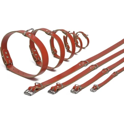 Afbeelding van Beeztees Halsband Hond Leer Rood 35,5 41,5 cm x 18 mm