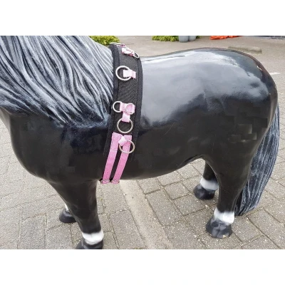 Afbeelding van HB Longeersingel Little Sizes Roze Minishetland