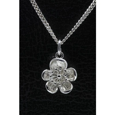 Afbeelding van Zilveren Boterbloem ketting hanger