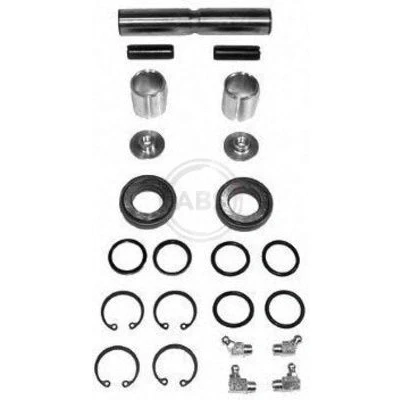 Afbeelding van Abs Fuseepen rep.set 290134
