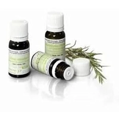 Afbeelding van Pranarôm Etherische olie Spijklavendel BIO (10 ml)