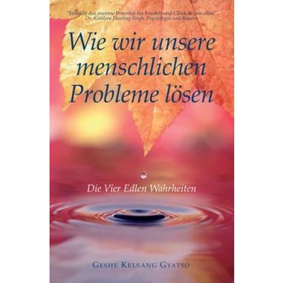 Afbeelding van Wie wir unsere Probleme lösen