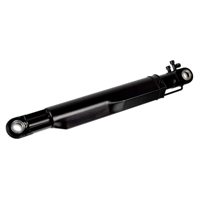 Afbeelding van Febi Bilstein Cabine kantelcilinder 172299