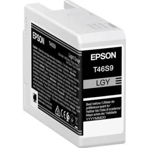 Afbeelding van Epson Inktcartridge Licht Grijs T46S9