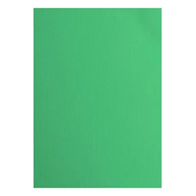Afbeelding van Vaessen Creative 2928 058A4 Florence Cardstock papier, groen, 216 gram/m², DIN A4, 10 stuks, textuur, voor scrapbooking, kaarten maken, ponsen en ander papierknutselwerk