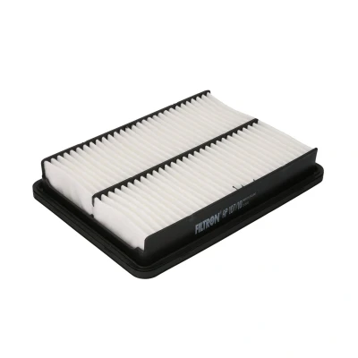 Afbeelding van Filtron Luchtfilter AP 107/10