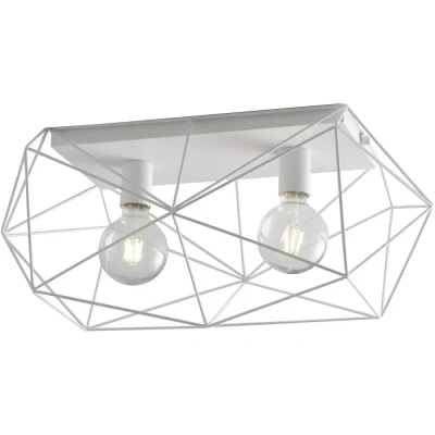 Afbeelding van ECO Light I ABRAXAS PL2 BCO Plafondlamp E27 120 W Wit