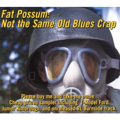 Afbeelding van Fat Possum: Not The Same Old Blues Crap