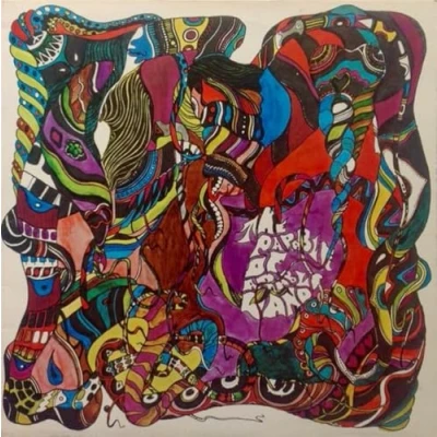Afbeelding van Red Crayola Parable Of Arable Land (LP)