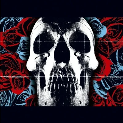 Afbeelding van Deftones Vinyl