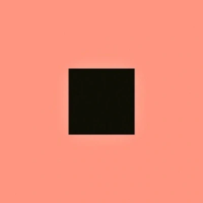 Afbeelding van Bon Iver Sable Fable (2 LPs)