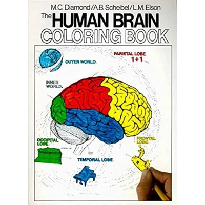 Afbeelding van The Human Brain Coloring Book: A Book