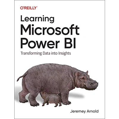 Afbeelding van 9781098112844 Learning Microsoft Power Bi