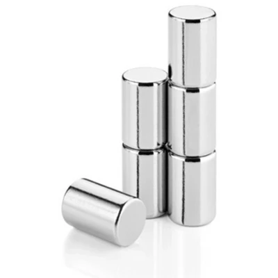 Afbeelding van Magneten Blomus Velio RVS Mat (6 stuks)