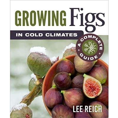 Afbeelding van Growing Figs in Cold Climates: A Complete Guide