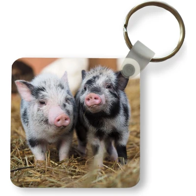 Afbeelding van Sleutelhanger Uitdeelcadeautjes Varken Dieren Varkentje Plastic