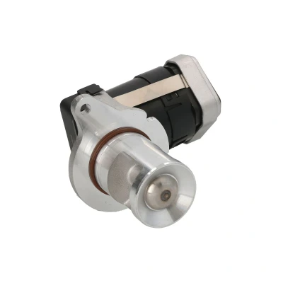 Afbeelding van EGR klep DELPHI EG10428