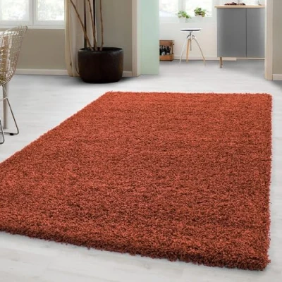 Afbeelding van Carpetsale24 Hoogpolig Vloerkleed Terra Effen Tapijt Shaggy Modern Woonkamer Slaapkamer, Kinderkamer Trend Soft Fluffy 160 x 230 cm