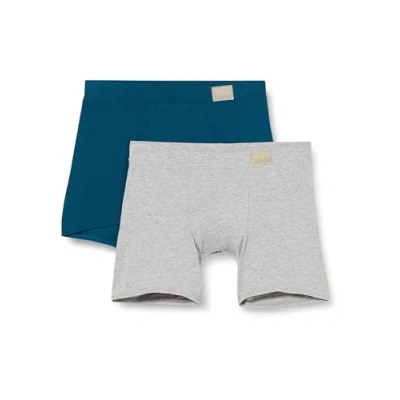 Afbeelding van Sloggi Herenslips 2P For Men GO Natural Brief Blauw/Grijs katoen X Large Heren