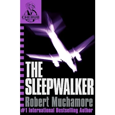 Afbeelding van The Sleepwalker: Book 9