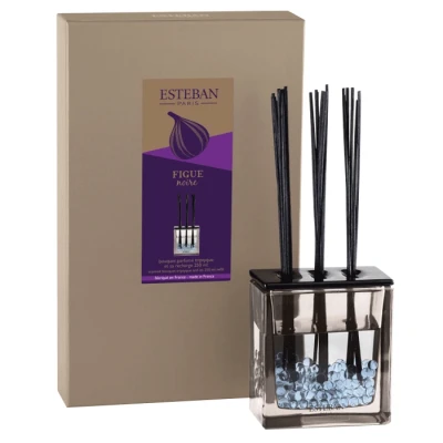 Afbeelding van Esteban Classic Figue Noire Geurstokjes Triptyque 250 ml