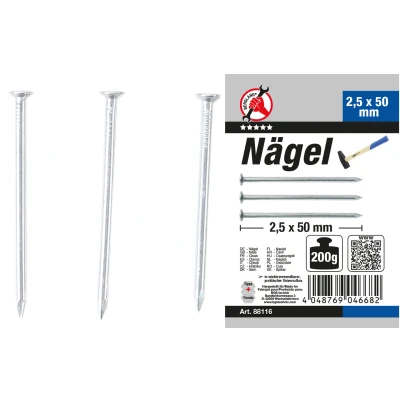 Afbeelding van BGS Nagel assortiment 200 gram 2,5 x 50 mm
