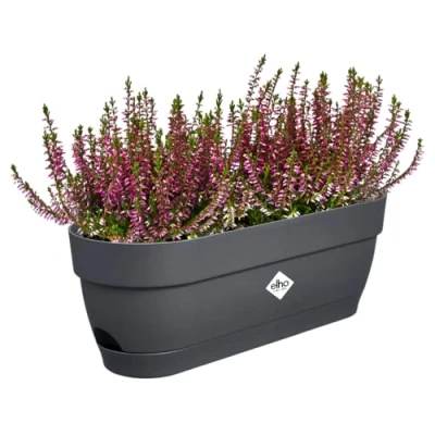 Afbeelding van Vibia campana balkonbak 50cm antraciet elho