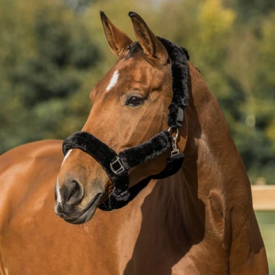 Afbeelding van Horka Halster met Bont Bescherming Zwart Mini