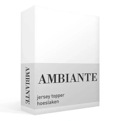 Afbeelding van Hoeslaken Lits Jumeaux 200x200 Ambiante Jersey Wit 2 Persoons