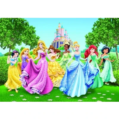 Afbeelding van AG Design FTD 2207 Disney Princess Princesss, Papier Fotobehang 360x254 cm 4 stuks, papier, multicolor, 0,1 x 360 254
