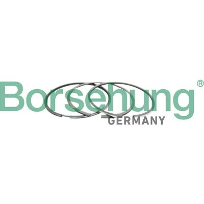 Afbeelding van Zuigerveerset Borsehung B10366