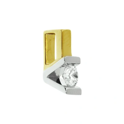 Afbeelding van Bicolor Gouden Hanger diamant 0.05ct H SI 4208017