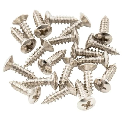 Afbeelding van Musiclily Basic 2,5x10 mm Metaal Metrische Draad Bevestigingsschroeven voor Truss Rod Cover Epiphone Les Paul stijl Gitaar, Nikkel(20 stucks)