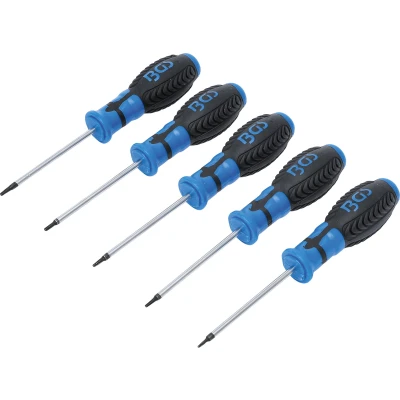 Afbeelding van BGS Schroevendraaierset Torx met boring T6 T10, 5 delig