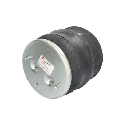 Afbeelding van Febi Bilstein Veerbalg 175642