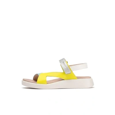 Afbeelding van Wonders Sandalen, Dames, Maat: 36, Cyber sea Leer