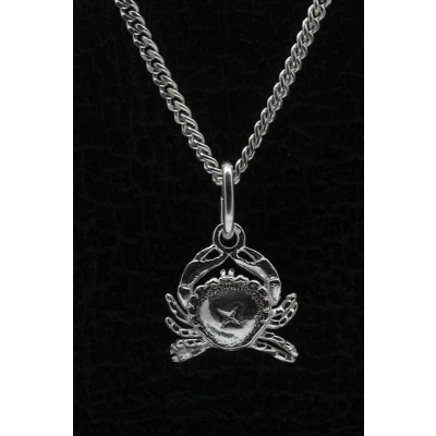 Afbeelding van Zilveren Sterrenbeeld Kreeft ketting hanger klein