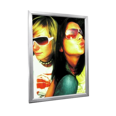 Afbeelding van Europalms Illuminated billboard A0, aluminium