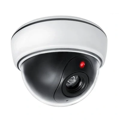 Afbeelding van Dummy camera met knipperende LED koepelcamera