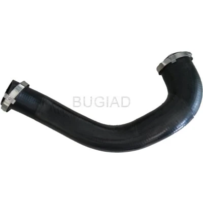 Afbeelding van Laadluchtslang BUGIAD 86630
