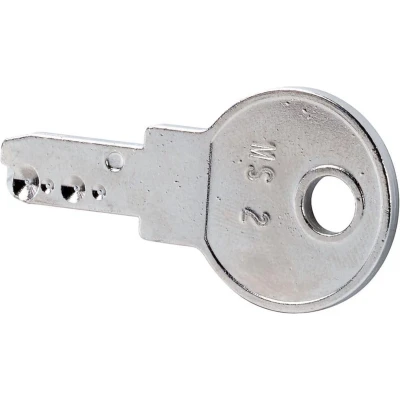 Afbeelding van Eaton M22 ES MS2 Sleutel Zilver 1 stuk(s)
