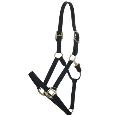 Afbeelding van Kentucky Halster Nylon Breakaway Zwart