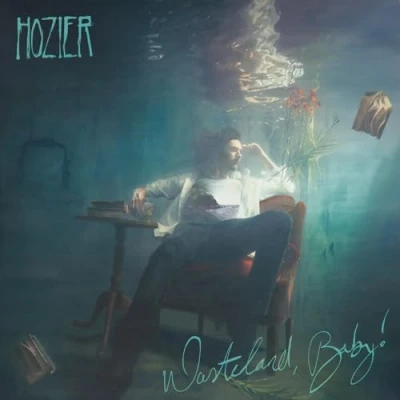 Afbeelding van Hozier Wasteland, Baby! (2 LPs)