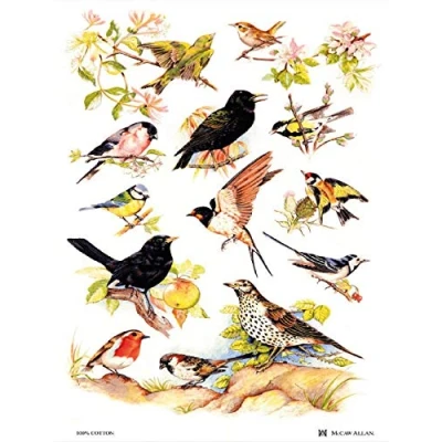 Afbeelding van Samuel Lamont Britse vogels katoenen theedoek, wit, one size
