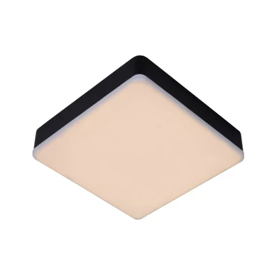 Afbeelding van Lucide CERES LED Plafonnière Dimb. 1x30W IP44 Zwart