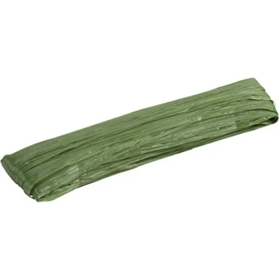 Afbeelding van Meister 9968200 Kunstmatige Raffia 50 m groen om te knutselen, decoreren en weven traditioneel bindmateriaal, scheurvast weerbestendig, kunststof lint, knutselkoord, tuinkoord