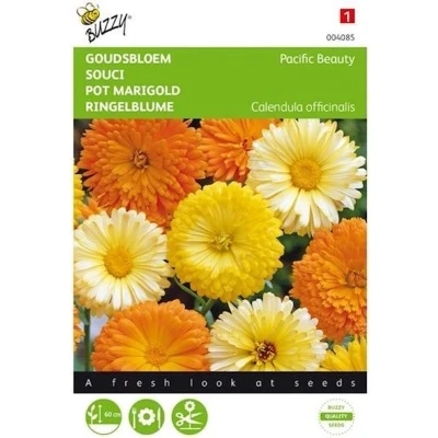 Afbeelding van Goudsbloem Pacific Beauty (Calendula) Buzzy